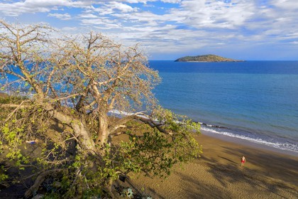 France, Ile de Mayotte, Grande-Terre, Nyambadao, baobab en bordure de la plage de Sakouli et ilot de Bandrélé en arrière plan (vue aérienne)