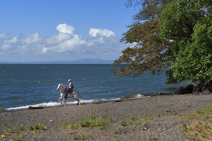 Nicaragua, Ile d'Ometepe sur le lac Nicaragua, cavalier en randonnée en bordure du lac