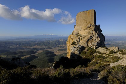 France, Aude (11), Pays Cathare, le château de Quéribus, devant la plaine de Maury et le Mont Canigou (2784 m) dominant la chaine des Pyrénées