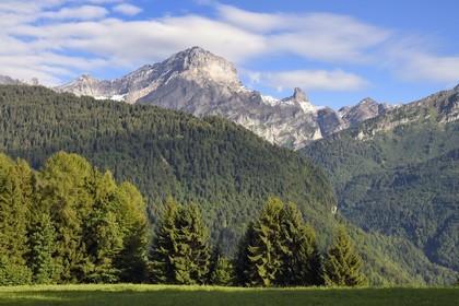 Suisse, canton de Vaud, Gryon, panorama sur le massif de l'Argentine surplombant Solalex