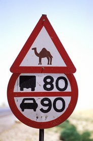 Jordanie, Petra, une route interdite aux chameaux