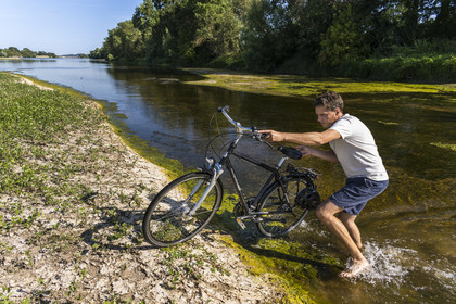 France, Maine-et-Loire (49), vallée de la Loire classée au Patrimoine Mondial par l'UNESCO, Saumur vers Saint-Hilaire, bancs de sable formant des îles sur la Loire, randonnée à bicyclette sur les berges de la Loire