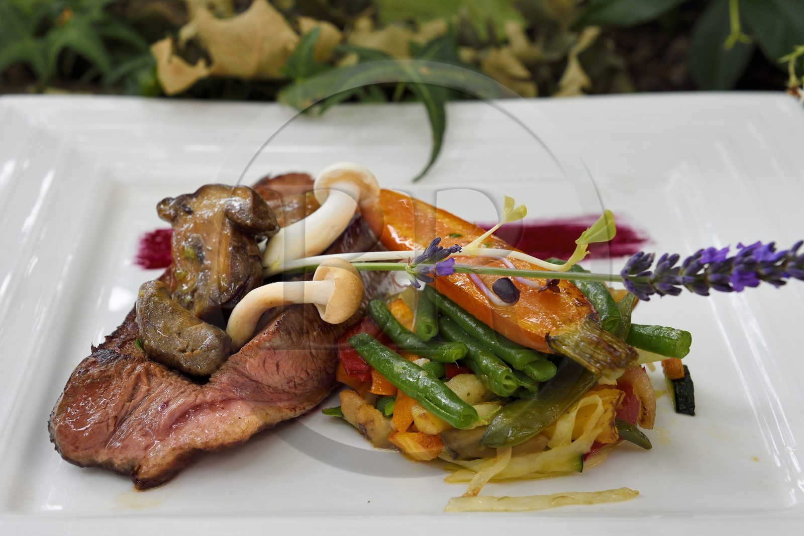 France, Dordogne (24), Périgord Pourpre, Bergerac, restaurant Le Sud rue de l'ancien pont dans la vieille ville, magret de canard périgourdin