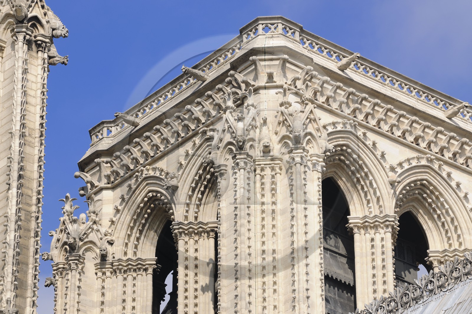 France, Paris (75), Ile de la Cité, cathédrale Notre-Dame de Paris, gargouilles de la tour nord
