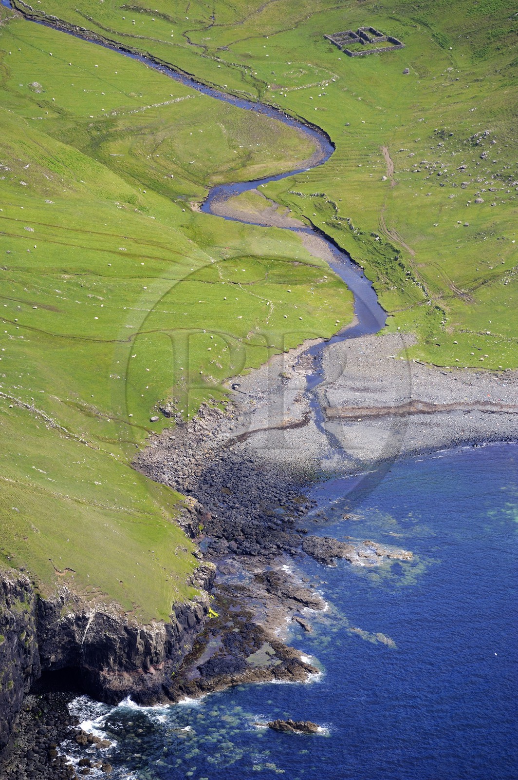 Royaume-Uni, Ecosse, Highland, Hébrides intérieures, Ile de Skye, moutons en bordure de mer de la côte Nord-Ouest au sud de Ramasaig (vue aérienne)