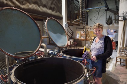 France, Alpes-de-Haute-Provence (04), La Mure-Argens, Véronique Blanc cultive et transforme la lavande en huile essentielle