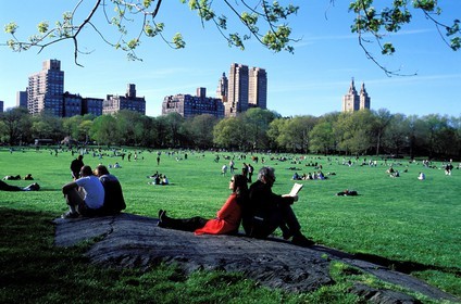 Etats-Unis, New York, Manhattan, pelouse de Central Park (The Sheep Meadow)