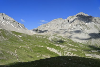 France, Alpes-de-Haute-Provence (04), Uvernet-Fours, parc national du Mercantour, vallée de l'Ubaye, col de la Cayolle (2326 m), sentier de randonnée qui grimpe à travers la pelouse alpine sur le circuit des lacs sous le sommet de la montagne du Trou de l’Aigle