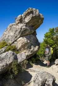France, Vaucluse (84), Dentelles de Montmirail, Beaumes-de-Venise, plateau des Courens, randonneur devant le Rocher du Diable