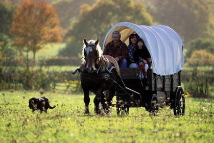 France, Saône-et-Loire (71), région du Morvan, roulotte traversant un pré, près de la Celle-en-Morvan