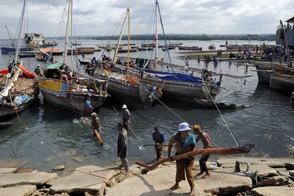 Tanzanie, archipel de Zanzibar, île de Unguja (Zanzibar), ville de Zanzibar, quartier Stone Town, classé Patrimoine Mondial de l' UNESCO, port des dhows (boutres traditionnels), déchargement de bois