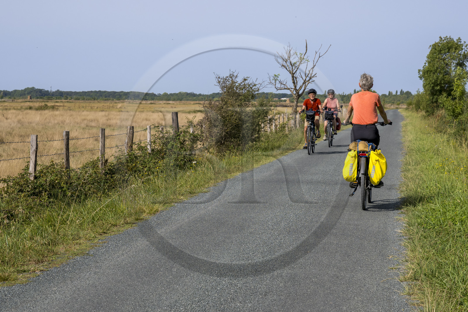 France, Charente-Maritime (17), Saint-Laurent-de-la-Prée, piste cyclable de la Vélodyssée et de la Flow vélo