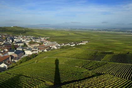 France, Marne (51), Parc Naturel de la Montagne de Reims, Verzenay, l'ombre du phare du musée du vin surplombant les vignobles de Champagne