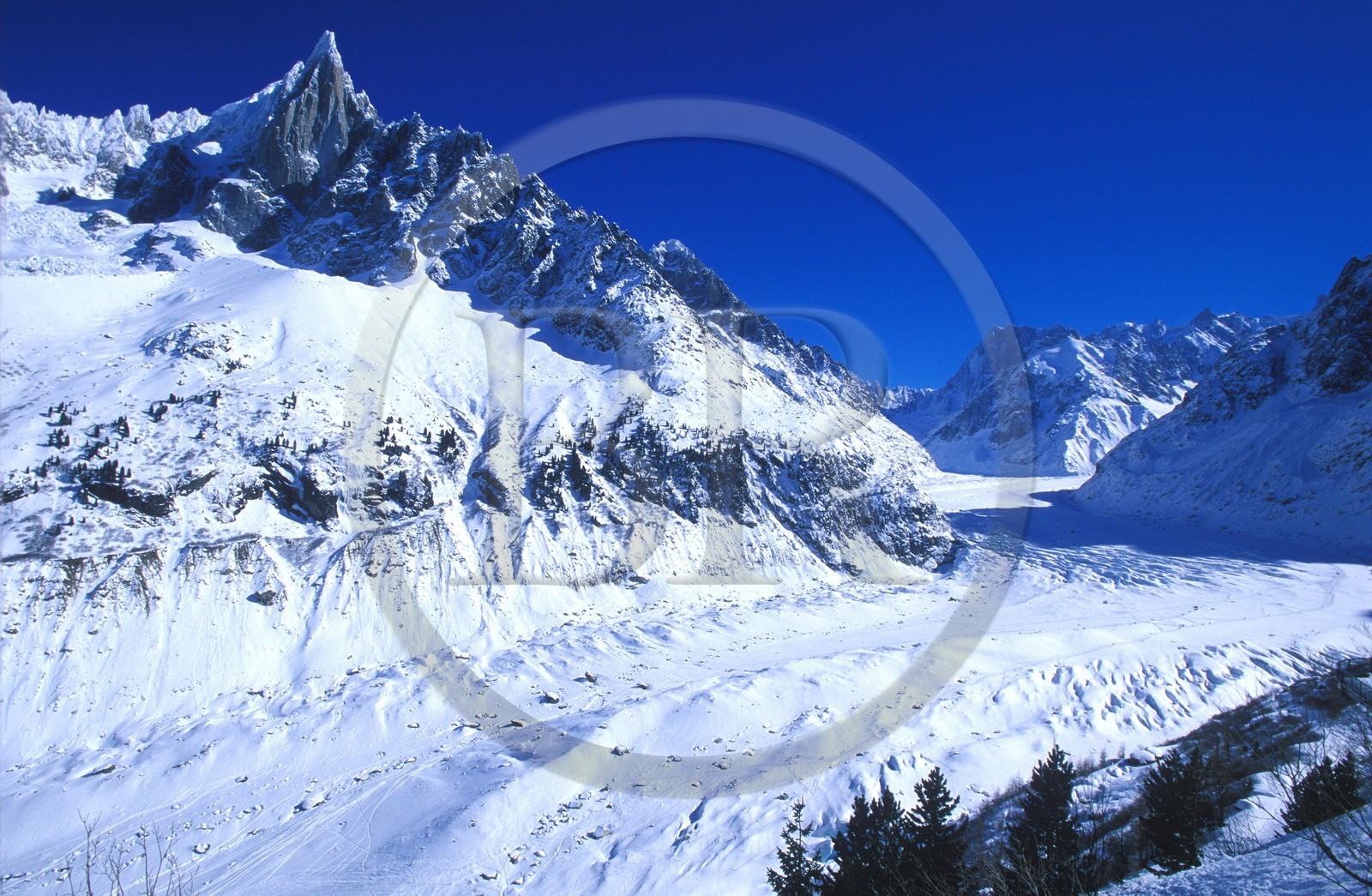 France, Haute-Savoie (74), vallée de Chamonix, la Mer de glace aux pied de l'Aiguille verte dans la vallée blanche (Mont-Blanc)