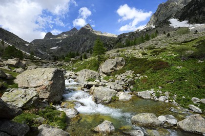France, Alpes-Maritimes (06), parc national du Mercantour, Haute-Vésubie, vallon de la Gordolasque