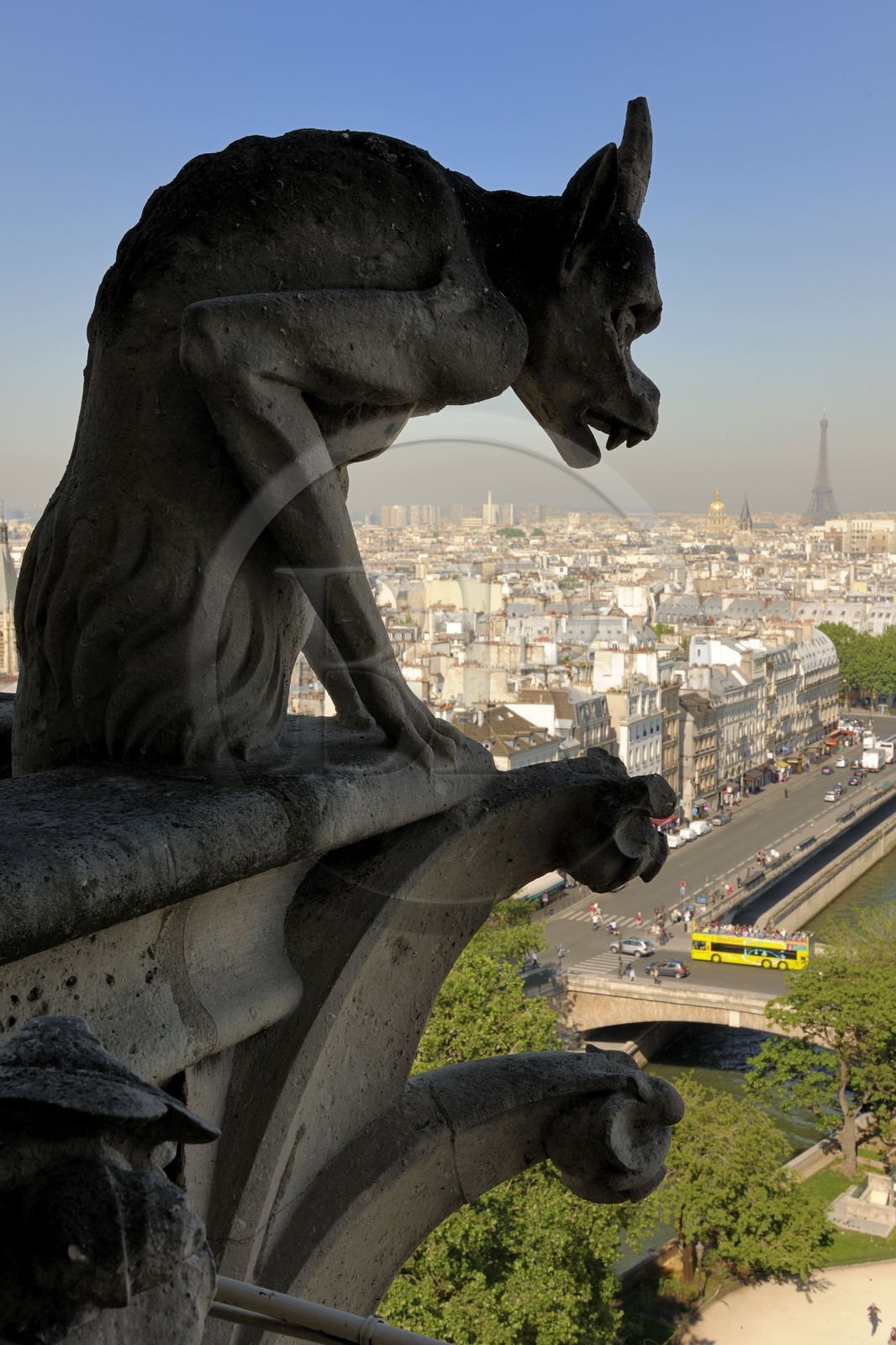 France, Paris (75), île de la Cité, la cathédrale Notre-Dame, les chimères observent la ville