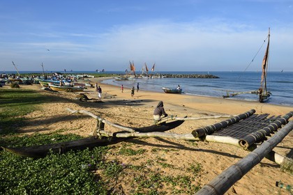 Sri Lanka, Province de l'Ouest, Negombo, retour des pecheurs et de leur catamarans traditionnels après la peche du matin sur la plage de Porathota