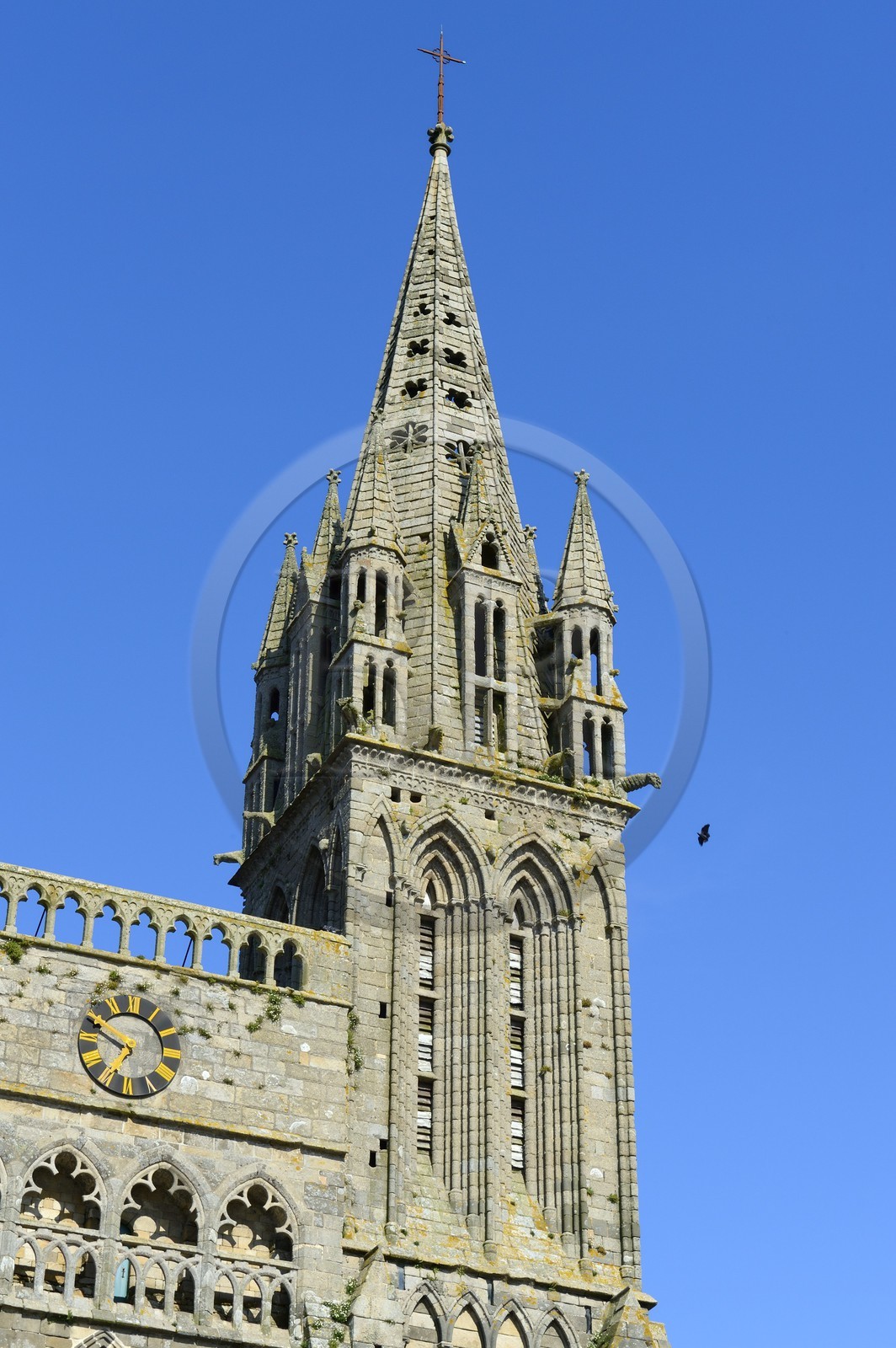 France, Finistère (29), Saint-Pol-de-Léon, ancienne cathédrale Saint-Paul-Aurélien
