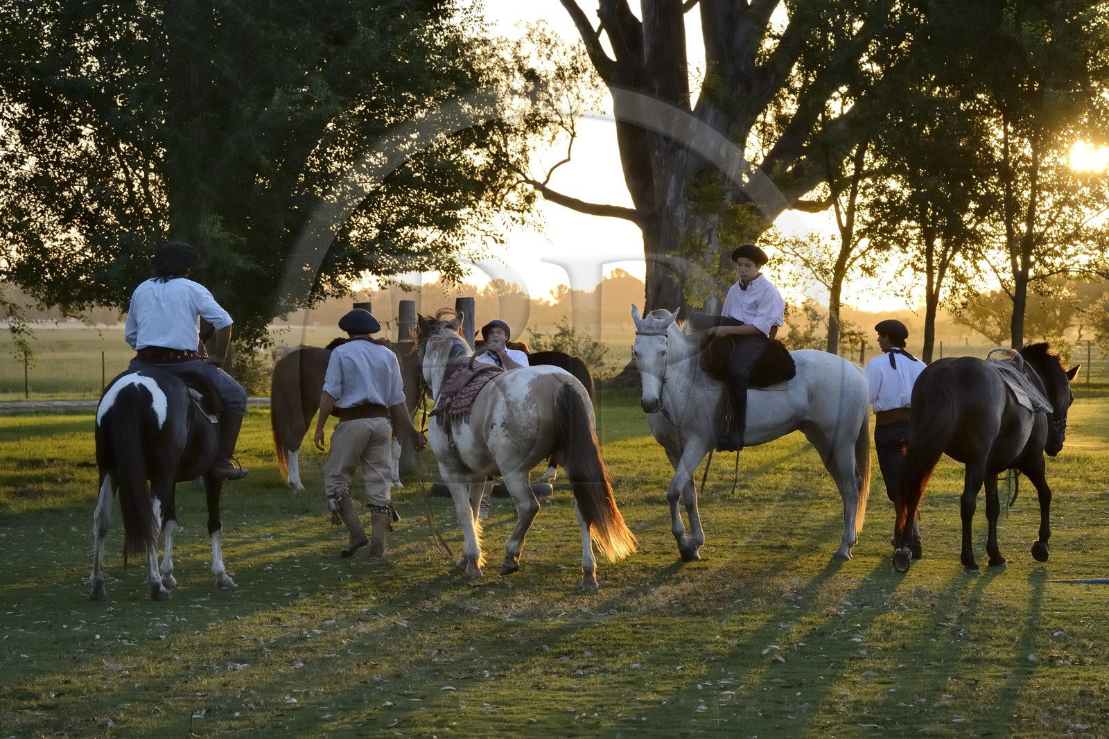 Argentine, province de Buenos Aires, San Antonio de Areco, gauchos dans l'estancia La Bamba de Areco