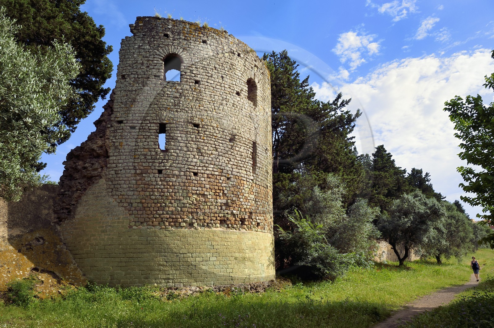 France, Var (83), Fréjus, Forum Julii, tour romaine dans les remparts nord de la cité romaine dans le jardin du Clos de la Tour