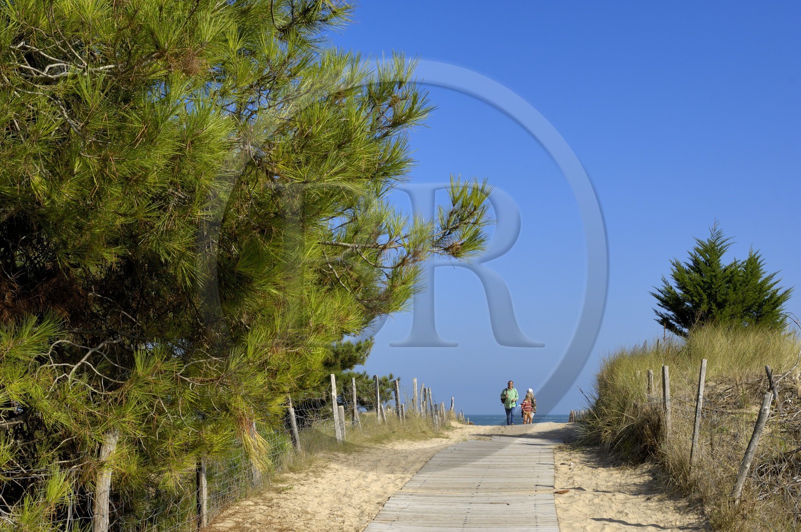 France, Charente-Maritime (17), ile de Ré, Les Portes-en-Ré, plage de Trousse-Chemise