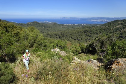 France, Var (83), Six-Fours-les-Plages, randonnée dans le massif du Cap Sicié vers la chapelle Notre-Dame du Mai, l'Ile des Embiez en arrière plan