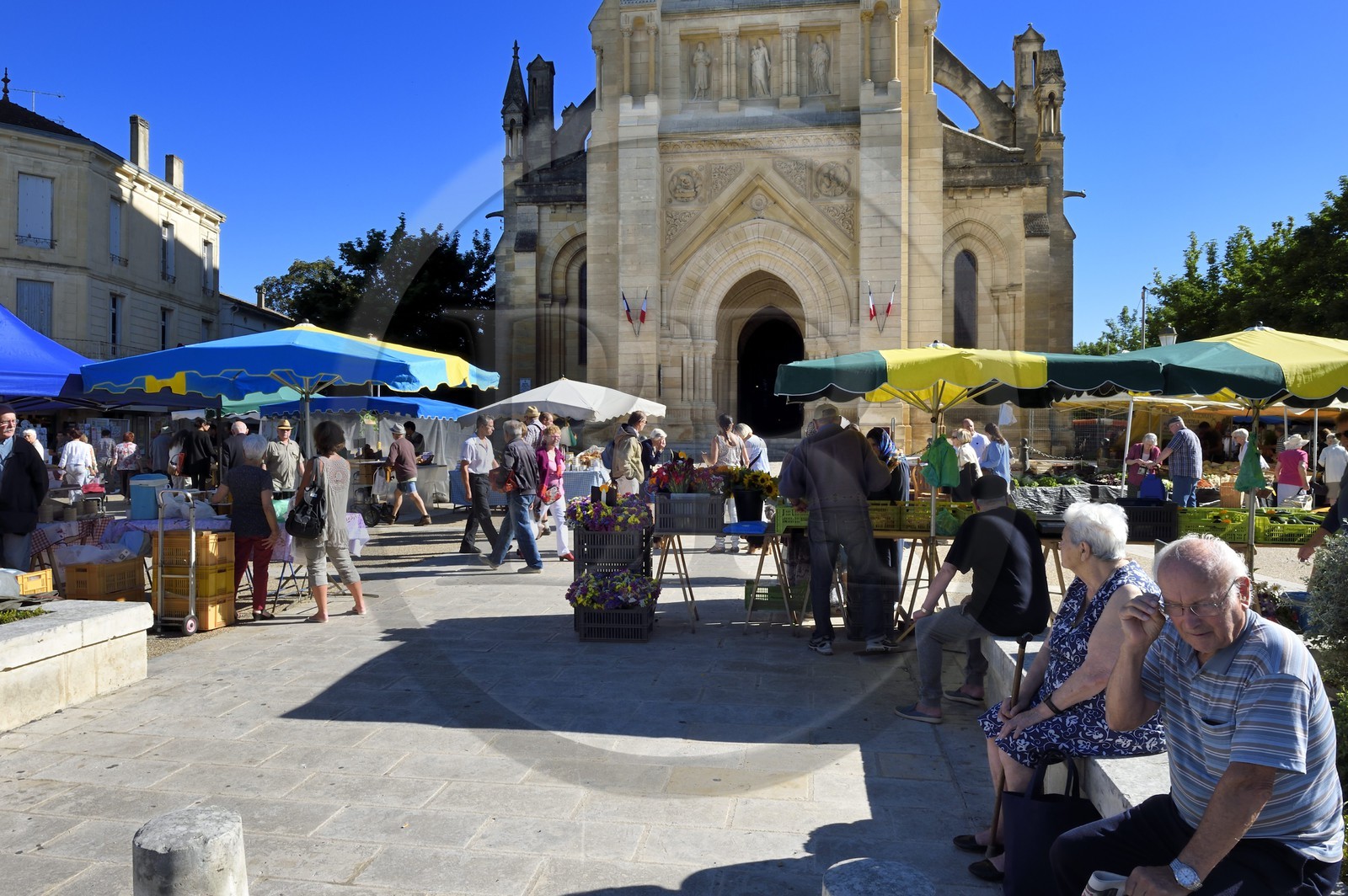 France, Dordogne (24), Périgord Pourpre, Bergerac, marché au pied de l'église Notre Dame