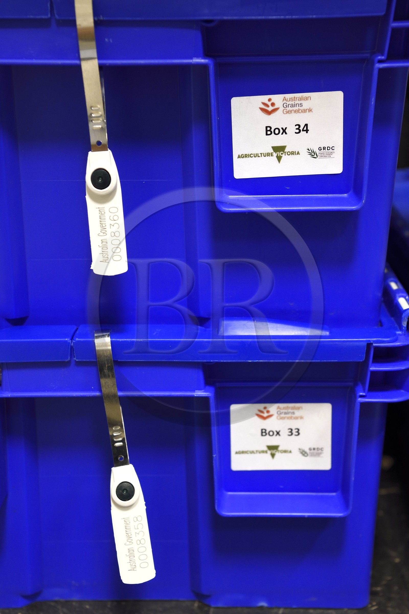 Norvège, Svalbard, Spitzberg, Longyearbyen, la Réserve mondiale de semences du Svalbard (banque de graines du Global Seed Vault), boites scellées contenant des semences en provenance du Australian Grains Genebank