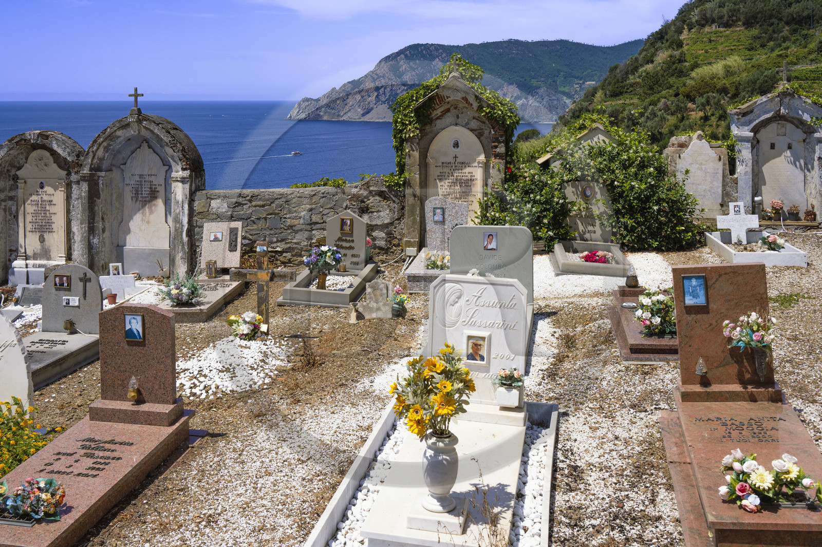 Italie, Ligurie, Cinque Terre, parc national des Cinque Terre classé Patrimoine Mondial de l'UNESCO, cimetière marin du village de Vernazza
