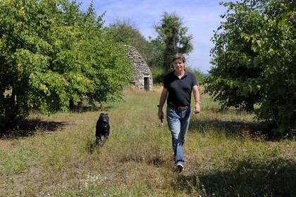 France, Gard (30), région du Pays d'Uzège, Uzès, Michel Tournayre créateur des “Truffières du Soleil” dans sa plantation truffière avec un de ses chiens truffiers