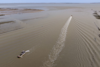 France, Charente-Maritime (17), Ile d'Oléron, Dolus-d’Oléron, bassin de Marennes-Oléron, chenal d’Arceau dans le Pertuis d'Antioche