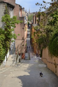 France, Rhône (69), Lyon, site historique classé Patrimoine Mondial de l'UNESCO, quartier de Saint-Paul dans le Vieux Lyon, Montée du Change qui prolonge la rue de la Loge