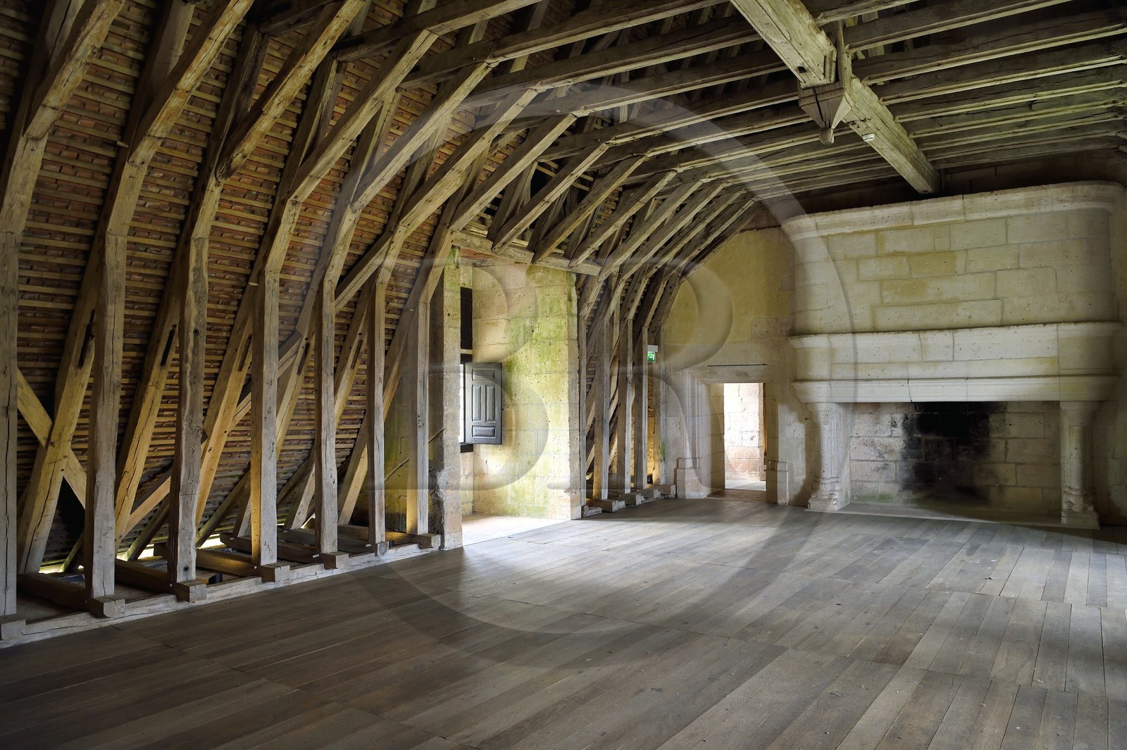 France, Dordogne (24), Périgord Vert, Villars, château de Puyguilhem, la charpente en chêne en forme de carène de bateau renversée