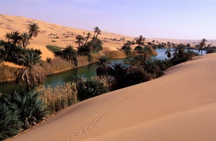Libye, région du désert, Le Fezzan (Sahara), Erg Ubari, Lac d'Oum El Ma