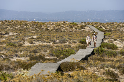 Portugal, Algarve, Parc naturel de la Ria Formosa, Faro, chemin de planches de bois sur l'Ile de Barreta ou Deserta (Ilha da Barretta ou Deserta)