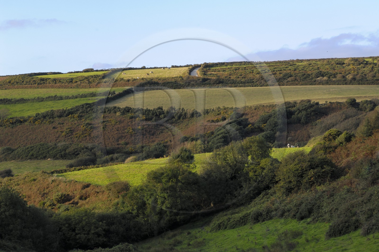 France, Manche (50), Cap de la Hague, région de Goury