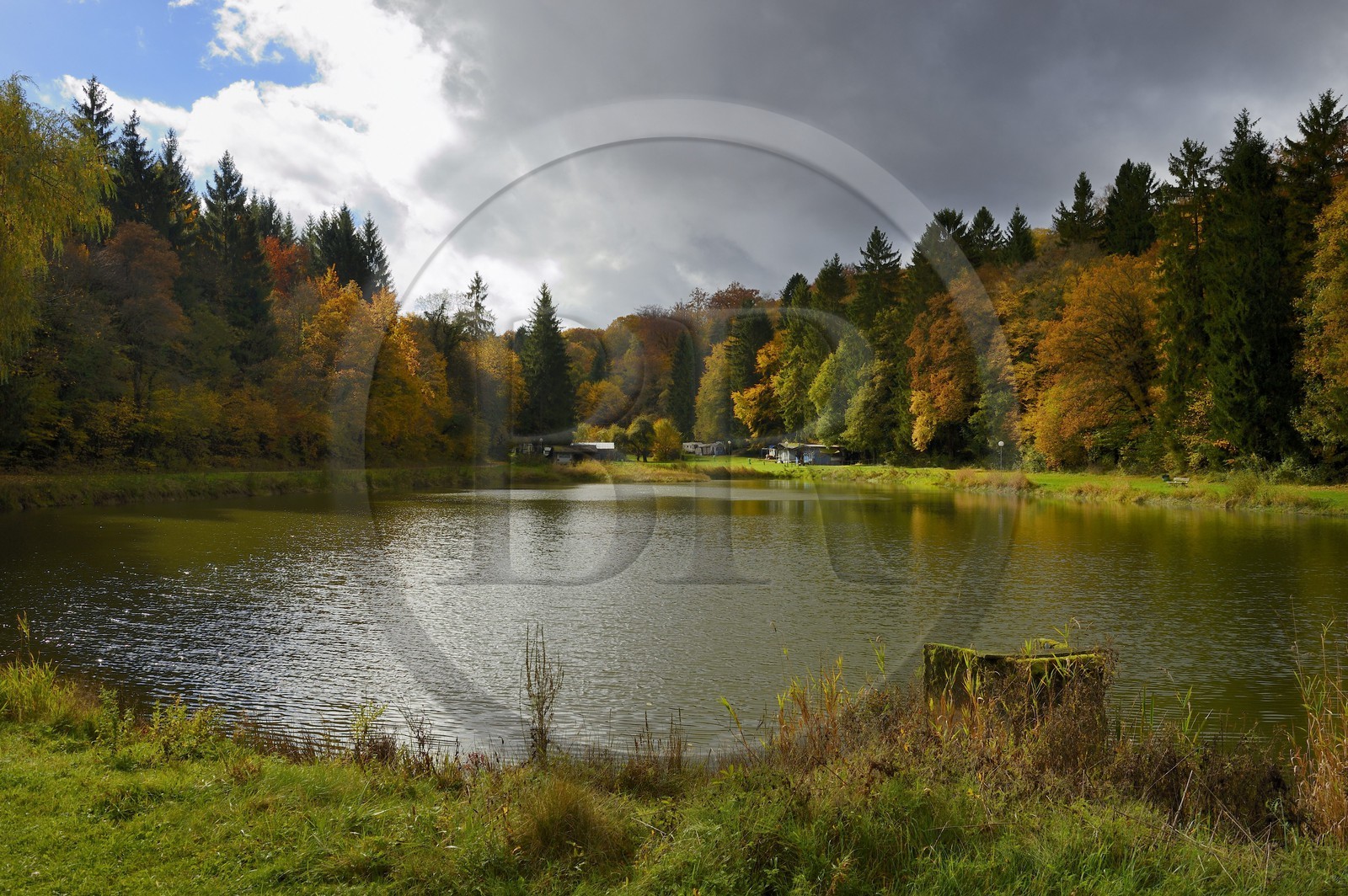France, Meuse (55), Parc régional de Lorraine, Cotes de Meuse, Dommartin-la-Montagne, les Etangs de Longeau