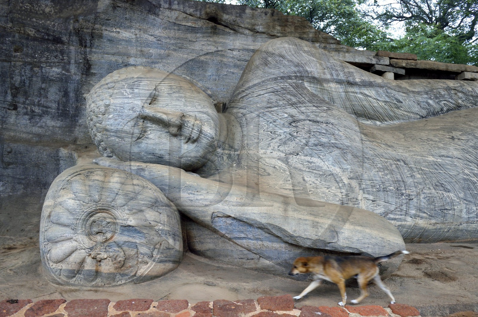 Sri Lanka, province du Centre-Nord, Polonnaruwa, l'ancienne capital du pays (XIe au XIIIe siècle) est classée au Patrimoine Mondial de l'UNESCO, bouddha géant taillé dans la rocher du Gal Vihara, Bouddha couché