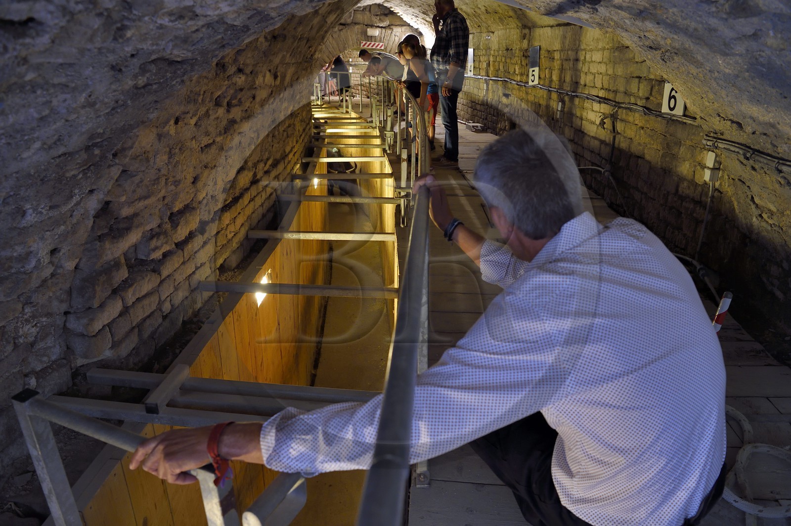 France, Bouches-du-Rhône (13), Arles, les Arènes, amphithéâtre romain de 80-90 après JC, classé Patrimoine Mondial de l'UNESCO, arrivée des taureaux dans le toril situé sous les tribunes