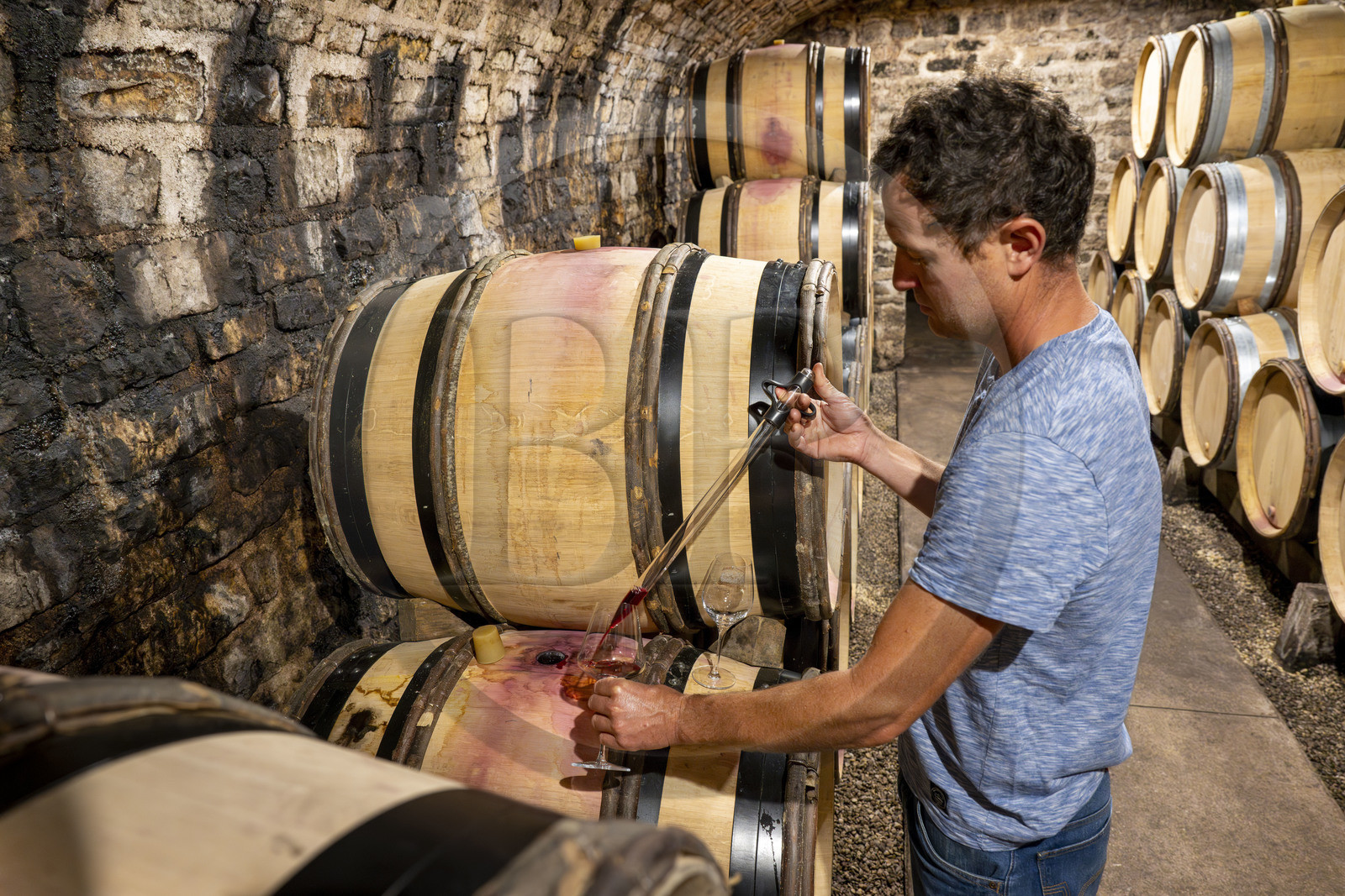France, Côte-d'Or (21), Paysage culturel des climats de Bourgogne classés Patrimoine Mondial de l'UNESCO, Route des Grands Crus, vignoble de la Côte de Nuits, Gevrey-Chambertin, Domaine Dugat, Bertrand Dugat dans les cave sous l'ancien Cellier des Dimes des évêques de Langres où il entrepose ses tonneaux