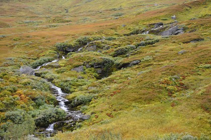 Norvège, Hordaland, Vikajfell, route de Vik à Voss