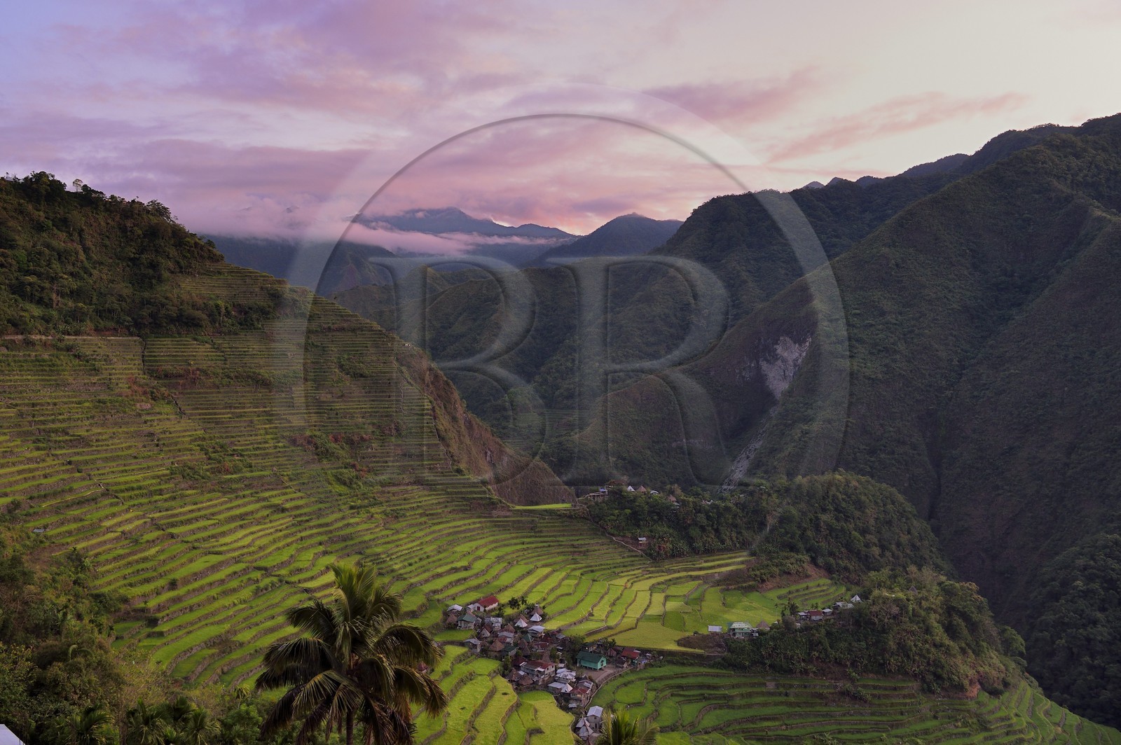 Philippines, province d'Ifugao, les rizières en terrasses de Banaue autour du village de Batad, classées Patrimoine Mondial de l'UNESCO, alimentées par un ancien système d'irrigation depuis la forêt tropicale au-dessus des terrasses, à l'aube