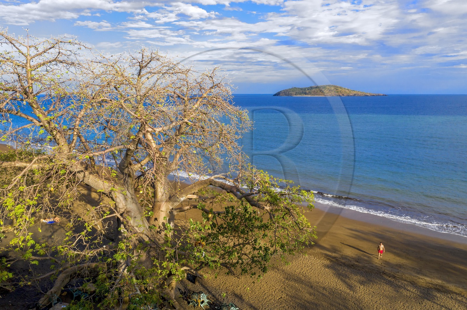 France, Ile de Mayotte, Grande-Terre, Nyambadao, baobab en bordure de la plage de Sakouli et ilot de Bandrélé en arrière plan (vue aérienne)