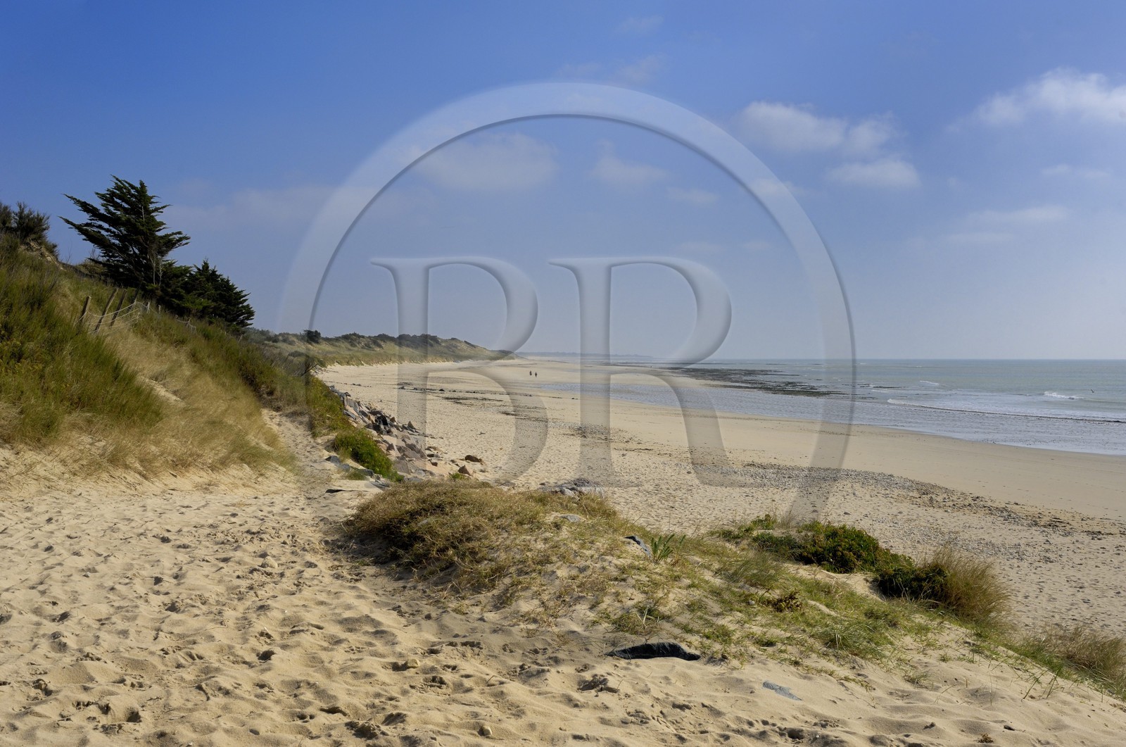 France, Charente-Maritime (17), ile de Ré, plage de La Couarde-sur-Mer