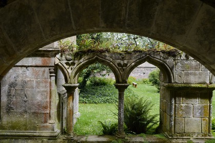 France, Côtes-d'Armor (22), étape sur le chemin de Saint-Jacques de Compostelle, Paimpol, abbaye de Beauport du XIIIe siècle, le cloitre