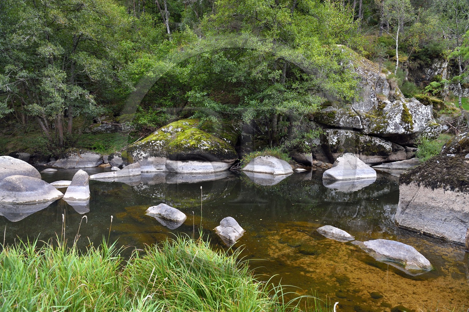France, Lozère (48), Parc naturel régional de l'Aubrac, Saint-Juéry, les gorges de la rivière Bès