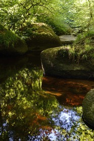 France, Finistère (29), parc naturel régional d'Armorique, Huelgoat, chaos granitique de la forêt du Huelgoat, la forêt se reflète dans l'eau de la rivière d'Argent qui prend parfois une couleur rouge sang