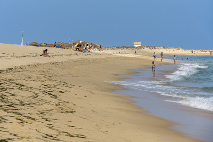 Portugal, Algarve, Parc naturel de la Ria Formosa, Faro, la plage de Ile de Barreta ou Deserta (Ilha da Barretta ou Deserta)