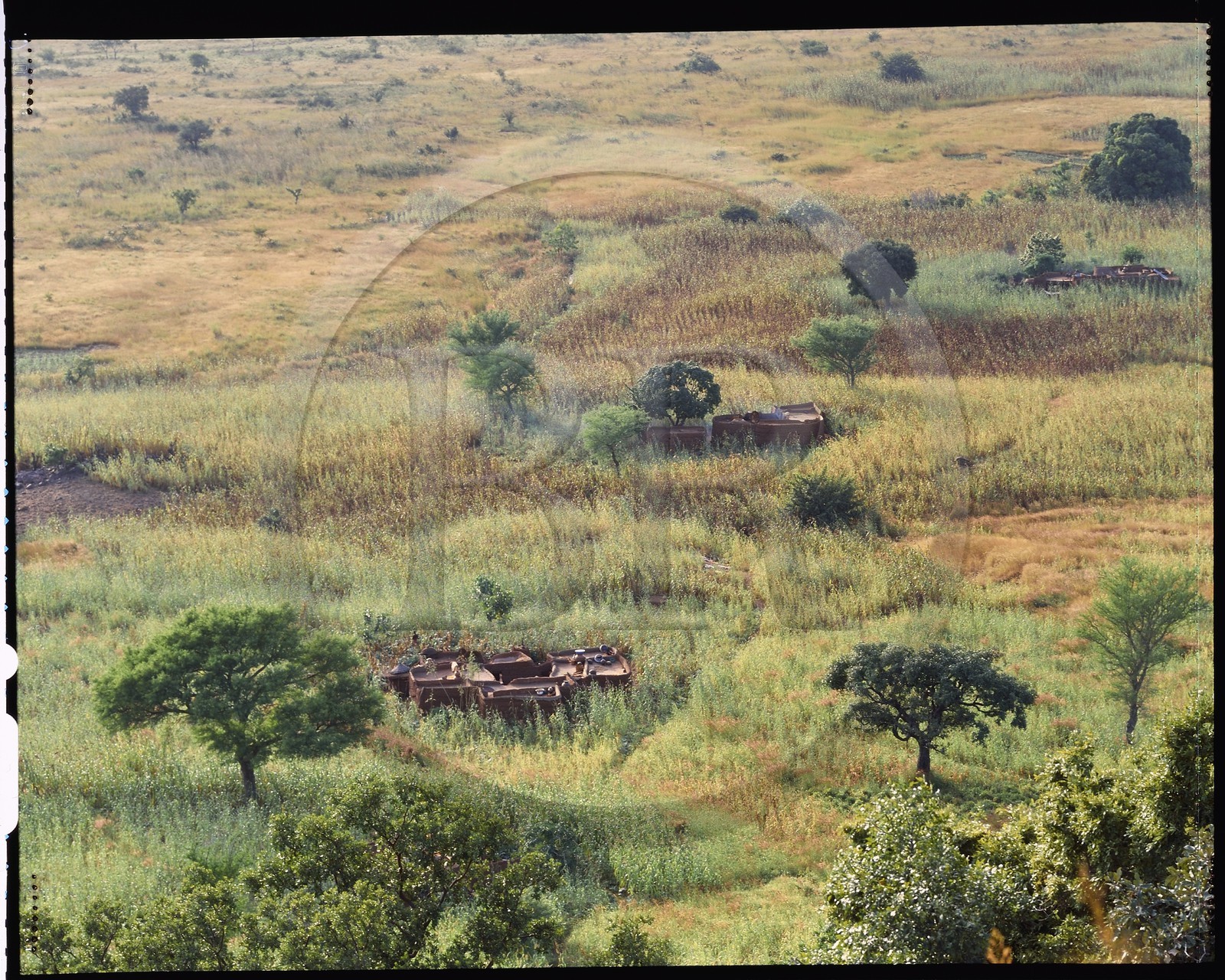 Burkina Faso, province de Poni, pays des Lobi, région de Loropéni, fermes Lobi au milieu des cultures de sorgho