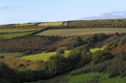 France, Manche (50), Cap de la Hague, région de Goury